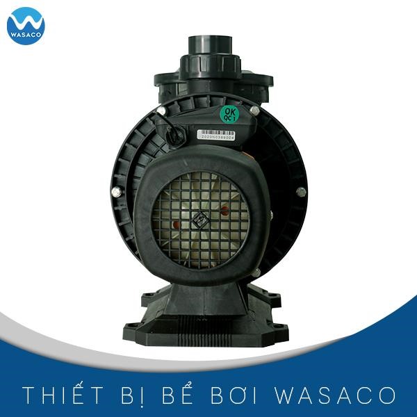 máy bơm bể bơi tafuma tfb