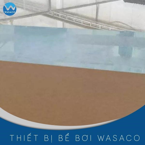 tấm acrylic bể bơi