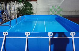 mẫu bạt bể bơi 9m6 - 21m6