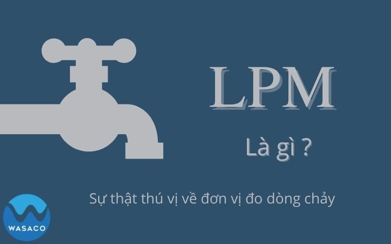 LPM là gì