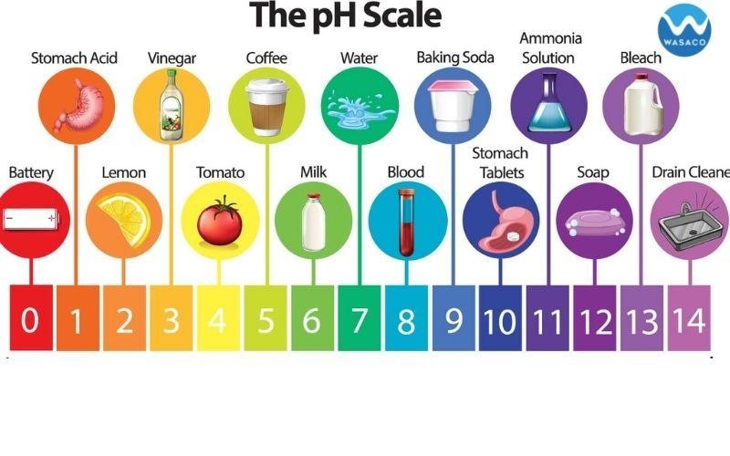 Độ pH của các dung dịch phổ biến