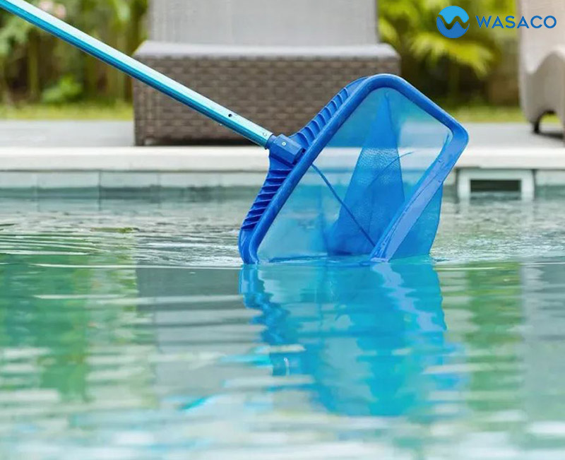 Làm sạch nước bể bơi