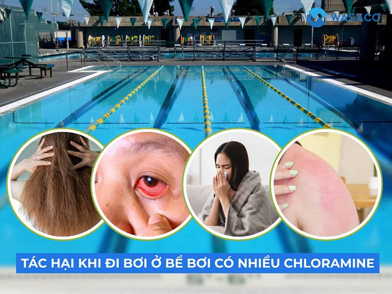 Tác hại khi nước hồ bơi có mùi Clo nồng